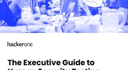 eBook: Executive Guide to Human Security Testing