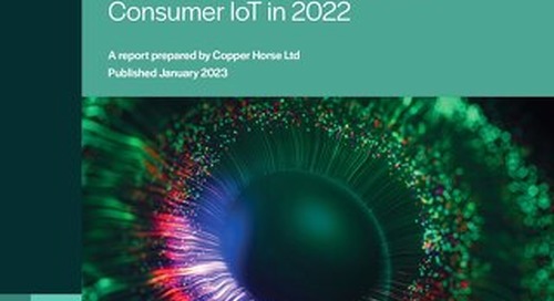 The State of Vulnerability Disclosure Usage in Global Consumer IoT in 2022