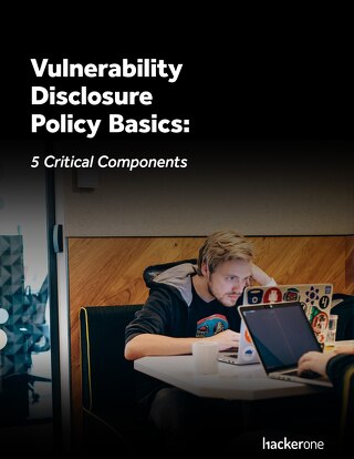 Vulnerability Disclosure Policy Basics: 5 Critical Components