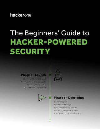 The Beginners' Guide to Hacker-Powered Security