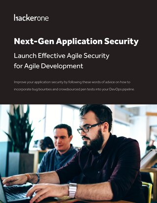 Next-Gen Solutions: Application Security Launch Effective Agile Security for Agile Development