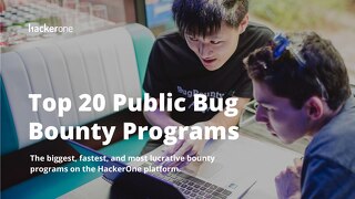 Top 20 Public Bug Product: Bounty Programs