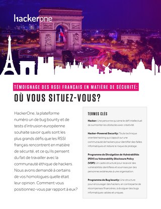 Security Confessions of CISOs in France